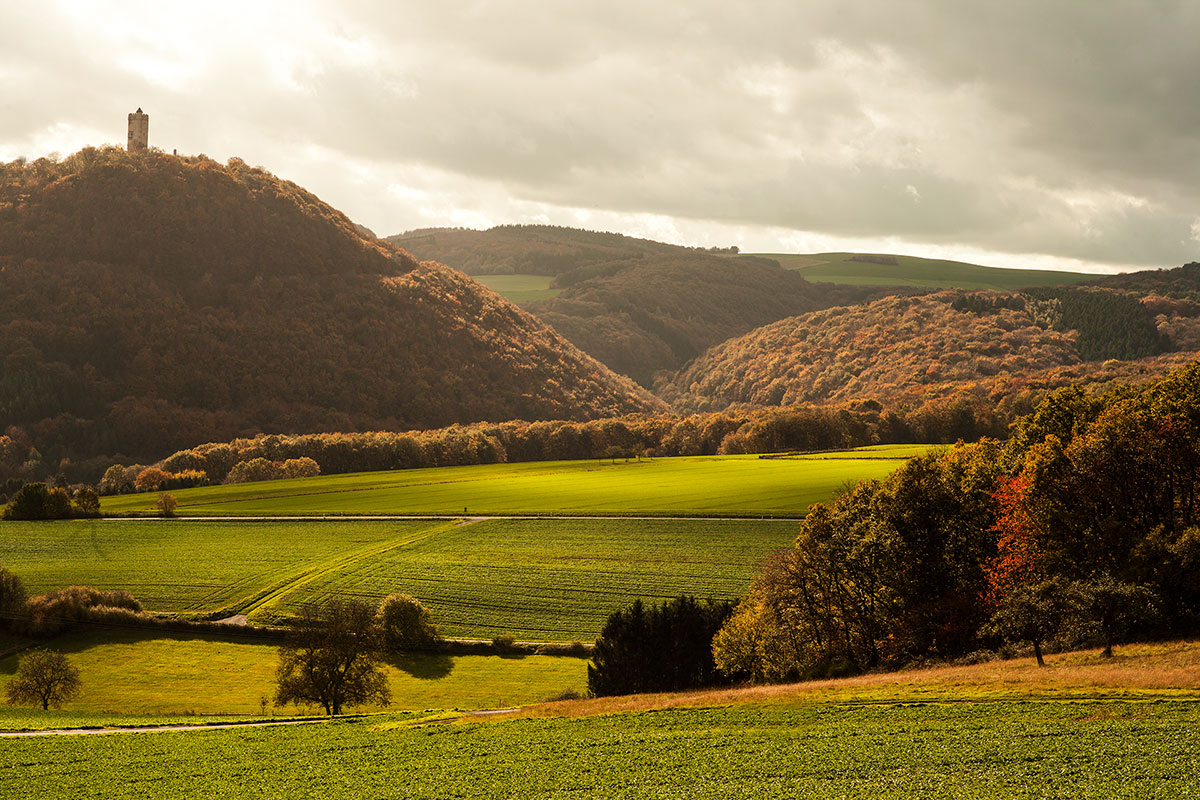 Holzbau-Dahm, Brohltal, Eifel, Burg Olbrueck