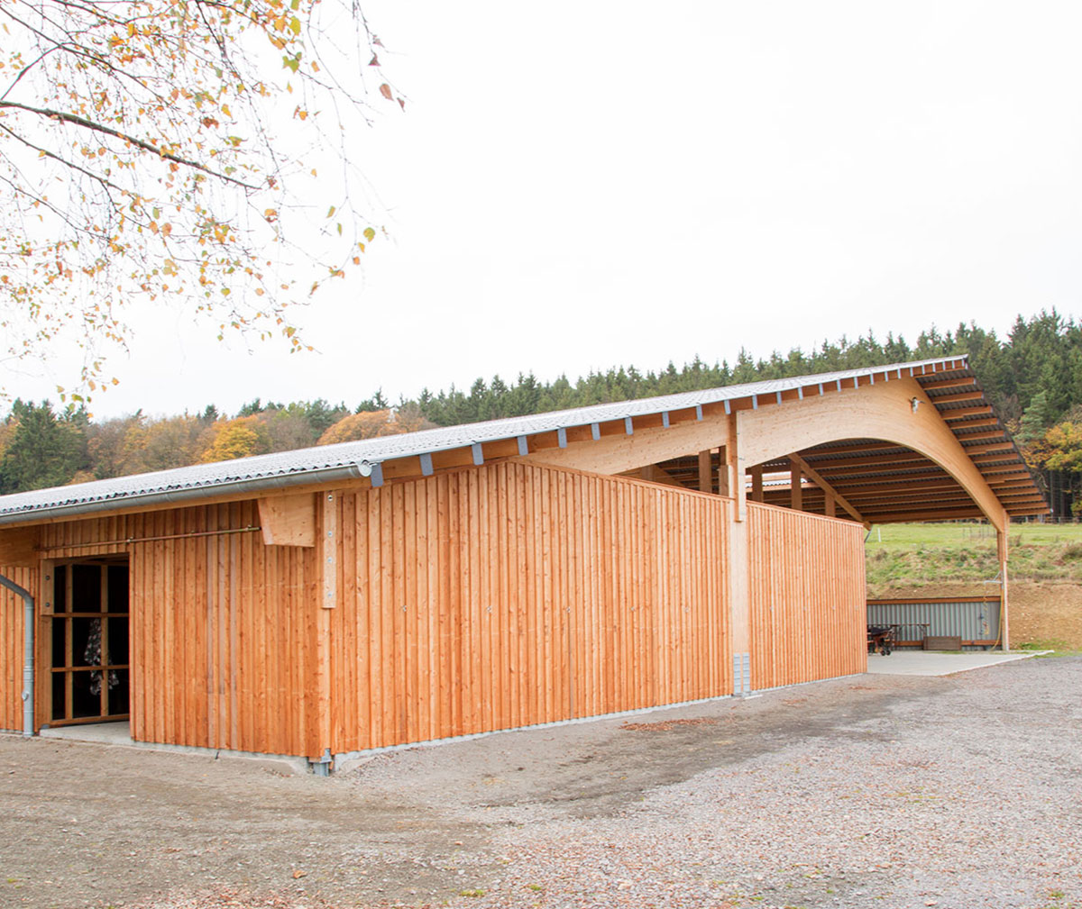 Holzbau-Dahm, Referenz, Ingenieurholzbau, Reithalle (Zimmerei, Holzrahmenbau, CNC-Abbund