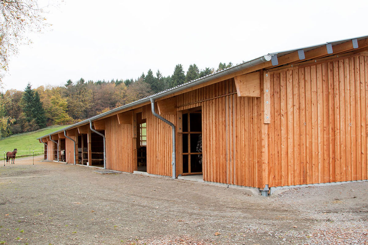 Holzbau-Dahm, Referenz, Ingenieurholzbau, Reithalle (Zimmerei, Holzrahmenbau, CNC-Abbund